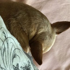 Meet your Posher, Charisse